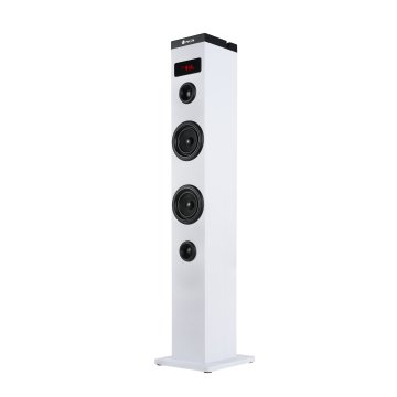 Altavoz Torre Portátil Ngs Sky Charm 50w Bluetooth Usb Radio Aux Entrada Optica Color Blanco 2