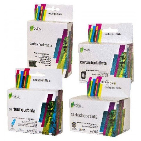 Cartucho Tinta Coiris Nº300 Xl Color (cc644ee)...