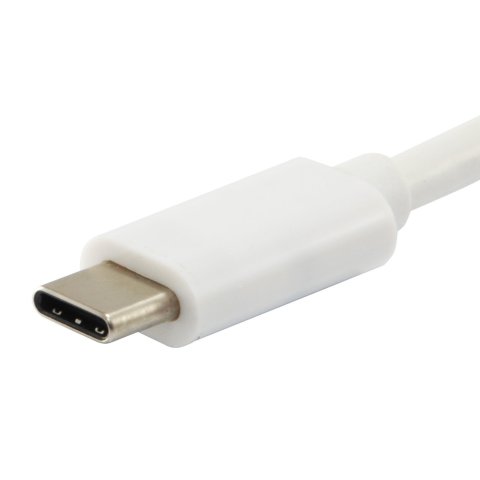 Cable Usb Platinum Usb-c Macho A Usb-c Macho 1m Equip Color Blanco