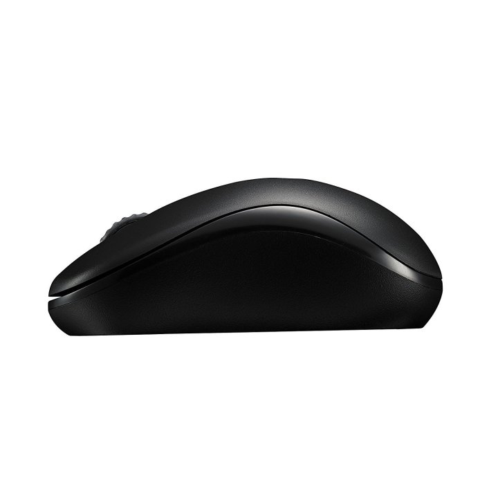 Mouse Rapoo Wireless M10 Plus 2.4ghz 3 Botones 1000 Dpi Color Negro