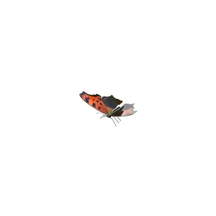 Maqueta 3d Metal Fascinations Mariposa Eastern...