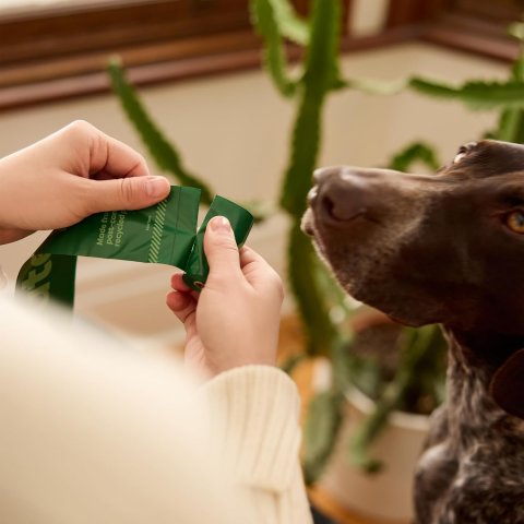 Bolsas Earth Rated Para Excrementos De Perros,...
