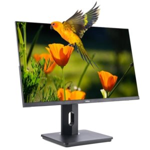 Monitor 24" Dp Hdmi Vga Nilox Nxm24reg02 Fhd 4ms 75hz 300cd m2 Vesa 100x100 2