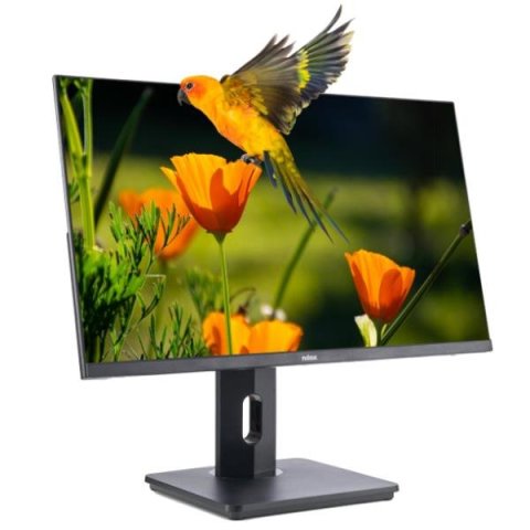 Monitor 24" Dp Hdmi Vga Nilox Nxm24reg02 Fhd 4ms 75hz 300cd m2 Vesa 100x100