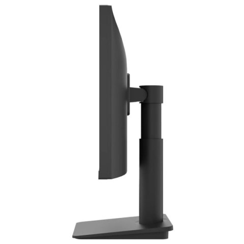 Monitor 25" Hdmi Lg 25ms550-b Fhd 100hz 5ms...