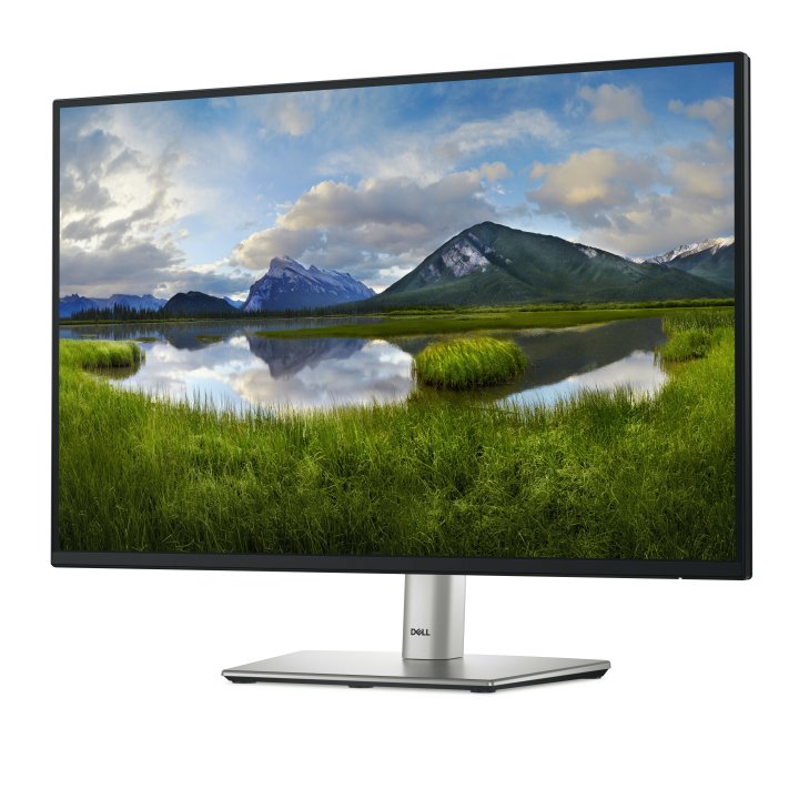 Monitor 24" Hdmi Displayport Vga Usb Dell P2425 1920x1200 8ms Pivotante Y Regulable En Altura